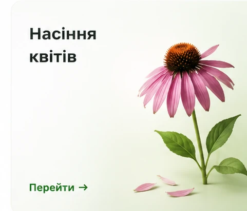 Насіння квітів