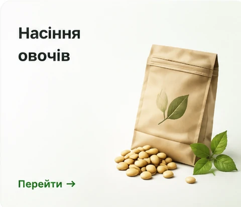 Насіння овочів