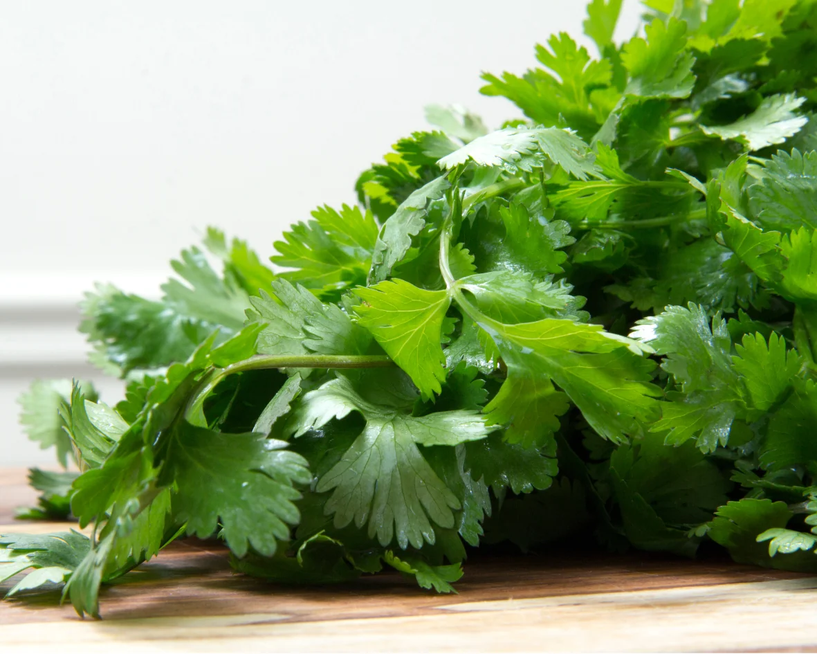 Кінза Артіка, 50 г, Libra Seeds